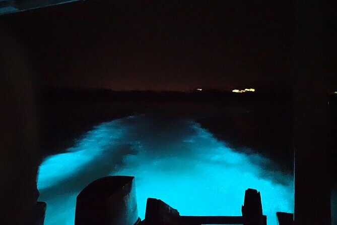 Luminous lagoon Night Tour Montego Bay - Authentic Experiences and Customer Feedback