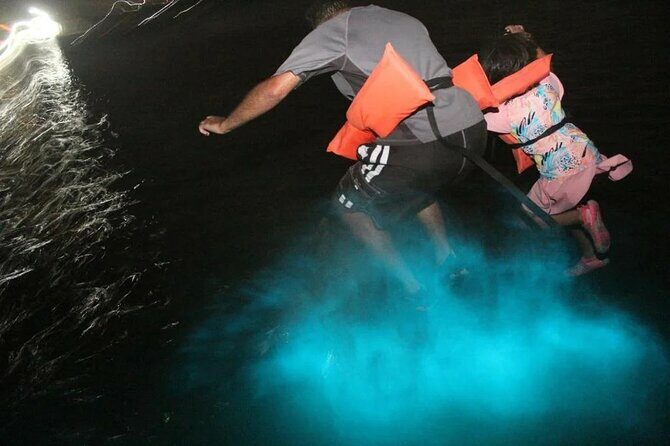 Luminous lagoon Night Tour Montego Bay - The Value of the Experience