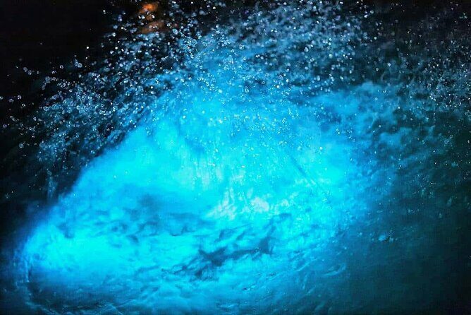 Luminous lagoon Night Tour Montego Bay - The Sum Up
