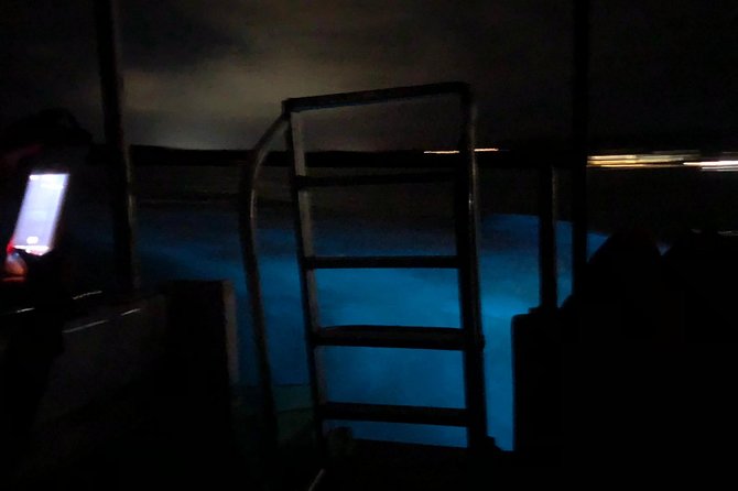 Luminous Lagoon Private Tour - Dining and Refreshments
