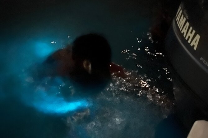 Luminous Lagoon Private Tour In Montego Bay - Experiencing the Luminous Lagoon