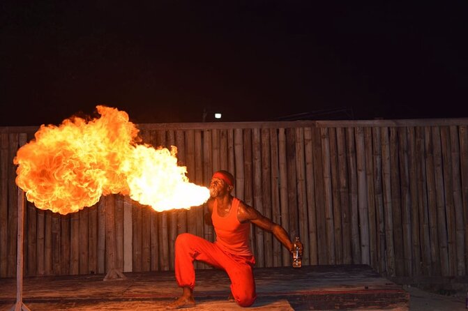 Luminous Lagoon Tour and Fire Show on the Beach - Luminous Lagoon Experience