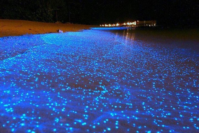 Luminous Lagoon Tour From Grand Palladium - About Your Stay