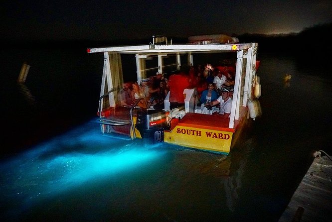 Luminous Lagoon Tour From Grand Palladium - Booking Your Stay