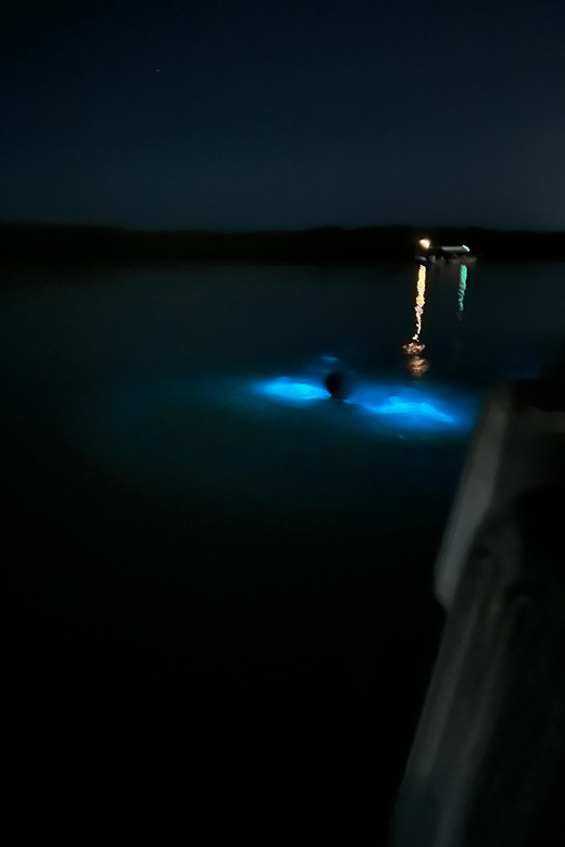 Luminous Lagoon Tour - What to Bring