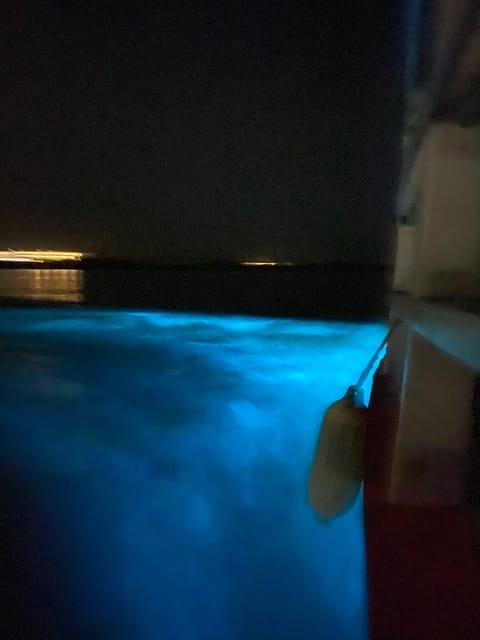 Luminous Lagoon Tour - Recap