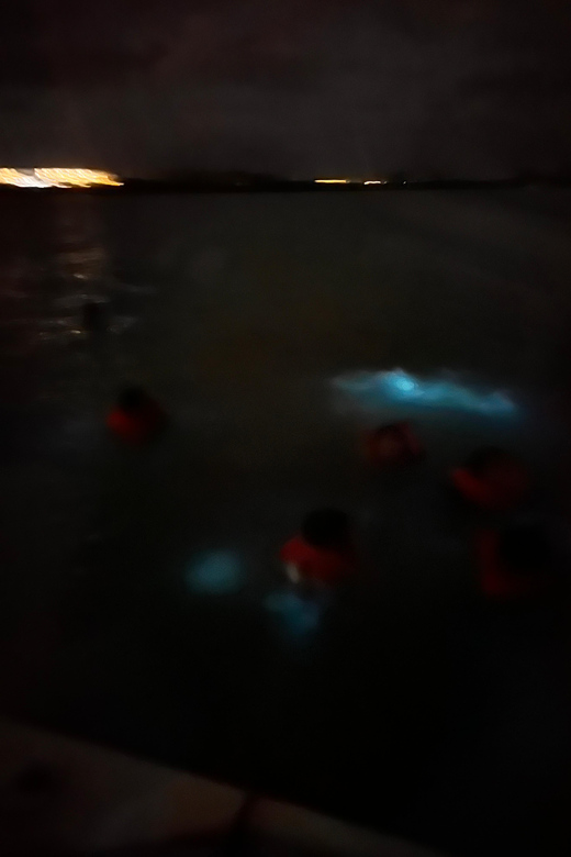 Luminous Lagoon With Dinner and Transfer - Recap