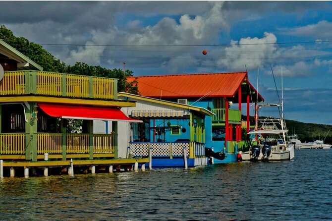 Luminous One Puerto Rico- Bio Bay Boat Ride With Swimming - Accessibility and Safety