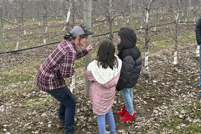 Lunch and Tour of an Apple Orchard With a Farmer in Elyria - Transportation and Meeting Details