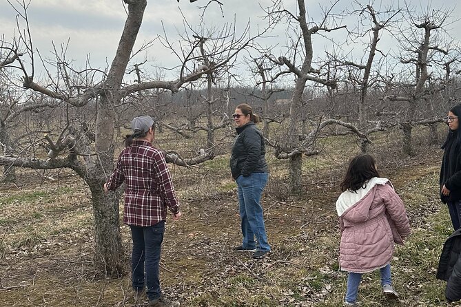 Lunch and Tour of an Apple Orchard With a Farmer in Elyria - Booking Information