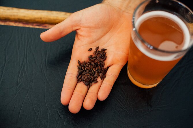 Lunch & Brew Experience - Key Points