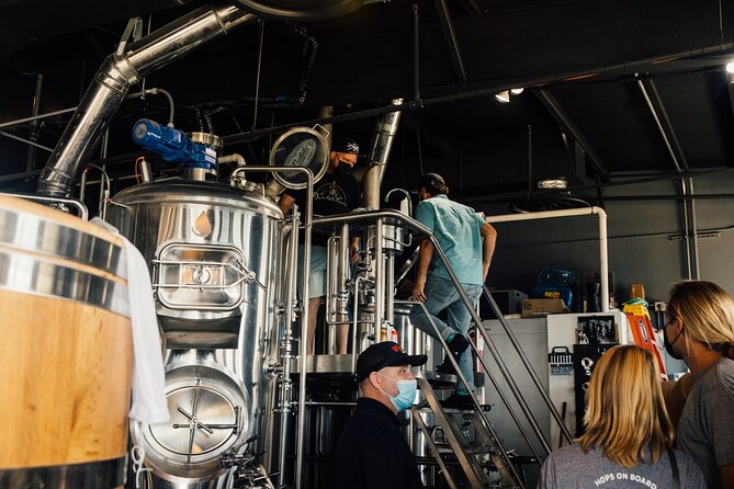 Lunch & Brew Experience - Whale Watching Opportunity