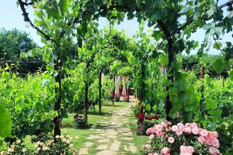 Lunch in the Garden and Wine Tasting - Picturesque Tuscan Countryside