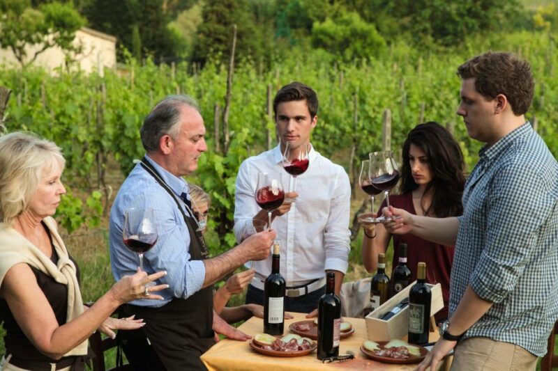 Lunch in the Garden and Wine Tasting - Immersive Countryside Atmosphere