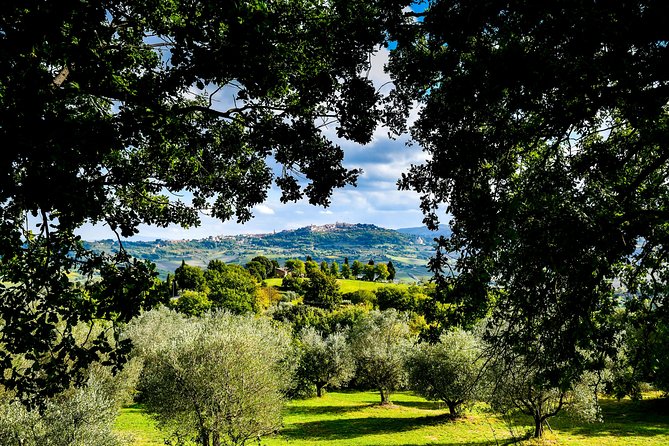 Lunch in the Olive Grove - Meeting and Pickup Details