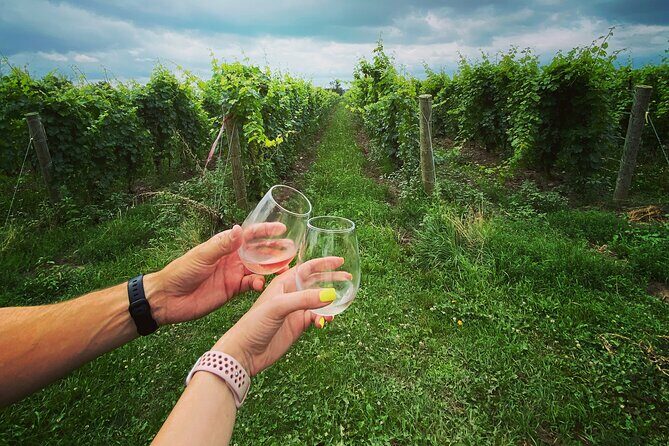 Lunch in the Vineyard: A Scenic Niagara Wine Tour Experience - Final Thoughts