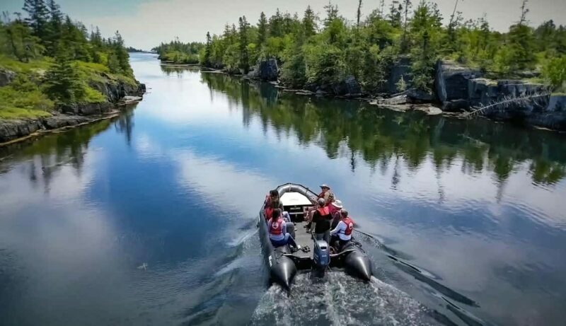 Lunenburg: Zodiac Wildlife Tour with Naturalist Guide - Key Points