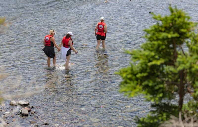 Lunenburg: Zodiac Wildlife Tour with Naturalist Guide - Authenticity and Quality: What Travelers Say