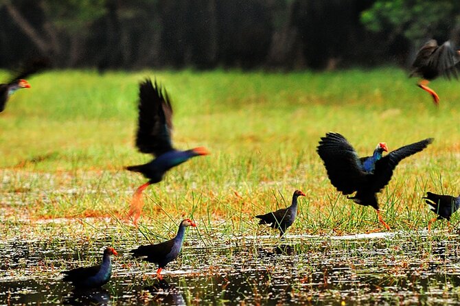 Lung Ngoc Hoang Nature Reservation - Location and Meeting Point