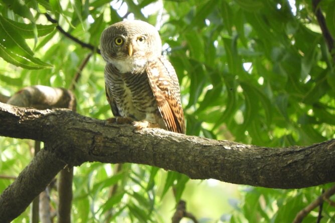 Lunugamvehera National Park Private Safari - Meeting Point