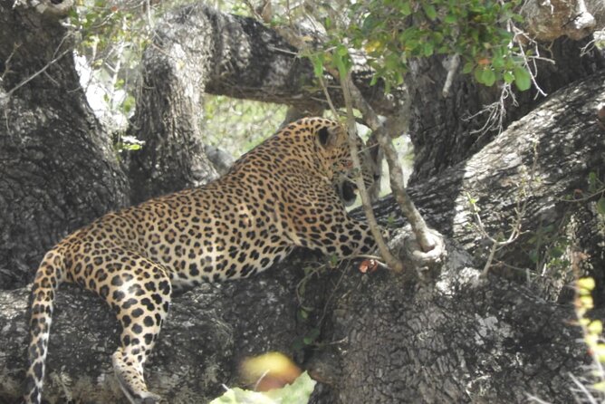 Lunugamvehera National Park Private Safari - Cancellation and Flexibility
