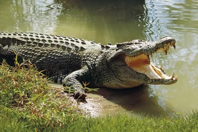 Lunugamwehera National Park by Ajith Safari - Good To Know