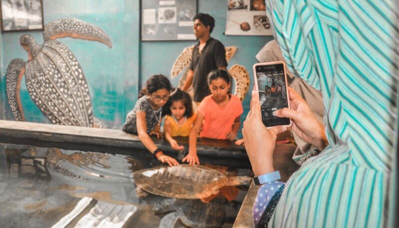Lunuganga, Kosgoda and Balapitiya Day-Tour From Negombo - Included in the Tour