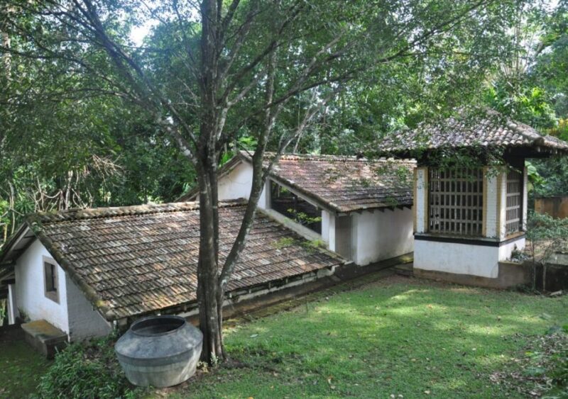 Lunuganga, Kosgoda and Balapitiya Day-Tour From Negombo - Madu River Safari