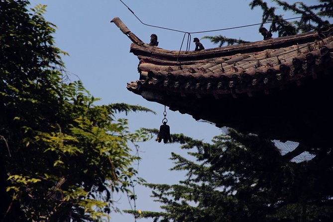 Luoyang Excursion by High-Speed Train With Longmen Grottoes & White Horse Temple - Longmen Grottoes