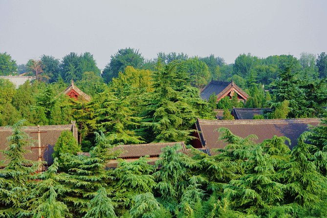 Luoyang Excursion by High-Speed Train With Longmen Grottoes & White Horse Temple - Departure and Pricing
