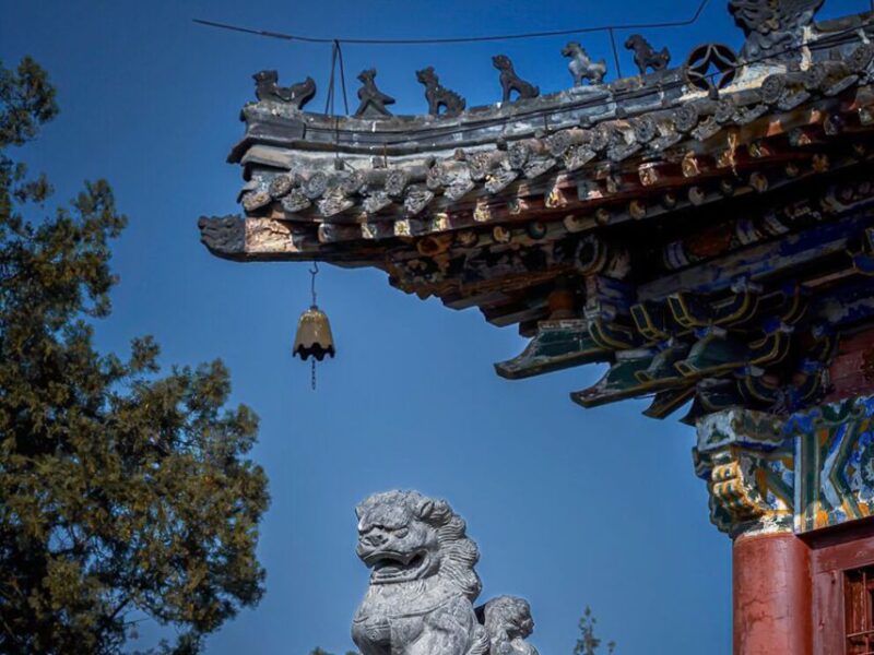 Luoyang: Longmen Grottoes and White Horse Temple Guided Tour - Exclusions and Restrictions