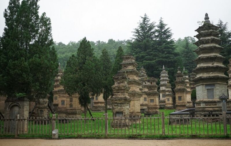 Luoyang Private Day Tour Longmen Grottoes Shaolin Temple - Itinerary Highlights