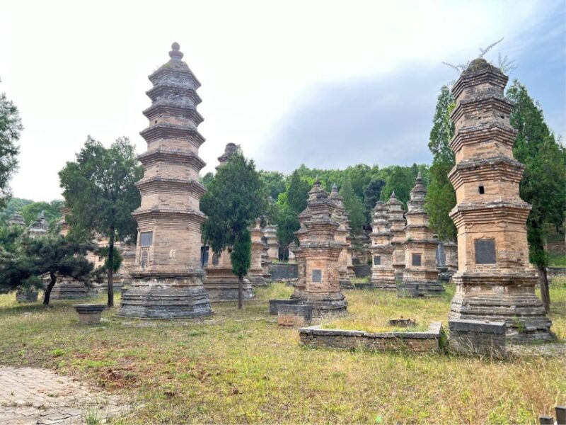 Luoyang Private Day Tour to Shaolin Temple&Longmen Grottoes - Itinerary and Highlights