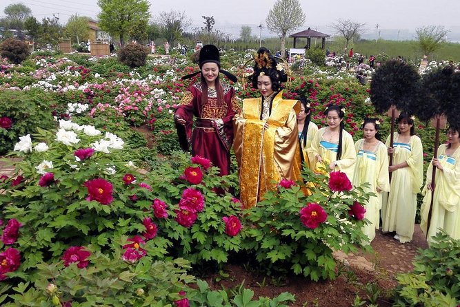 Luoyang Private Tour to Longmen Grottoes and Peony Blossom Sightseeing - Pickup and Dropoff Details
