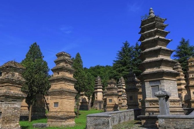 Luoyang Tour Guide- Longmen Grottoes and Shaolin Temple Day Tour - Discovering Shaolin Temple