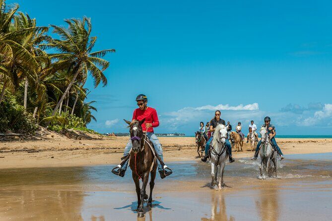 Luquillo Beach Horse Ride from Carabalí Rainforest Adventure Park - Key Points