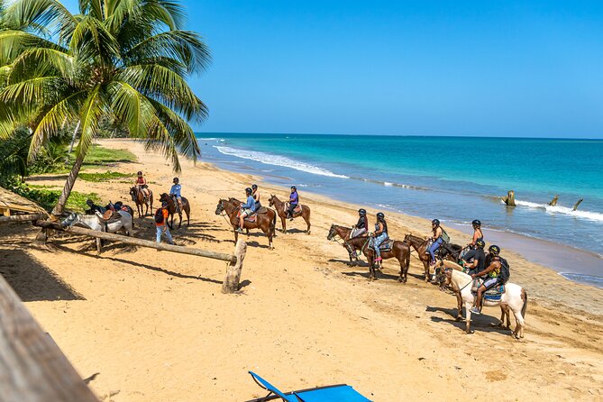 Luquillo Beach Horse Ride From Carabalí Rainforest Adventure Park - Highlights of the Experience