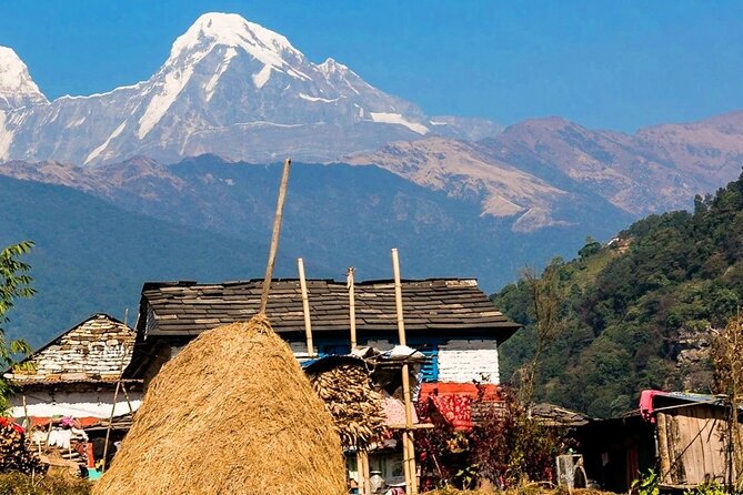 Luwang Village Home Stay Easy Trek With Tea Garden Visit - Inclusions