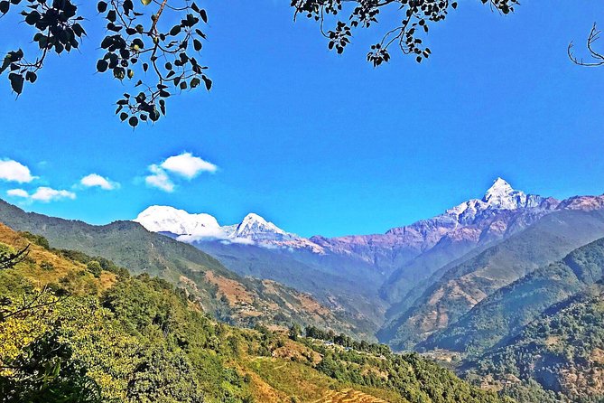 Luwang Village Home Stay Easy Trek With Tea Garden Visit - Pickup Information