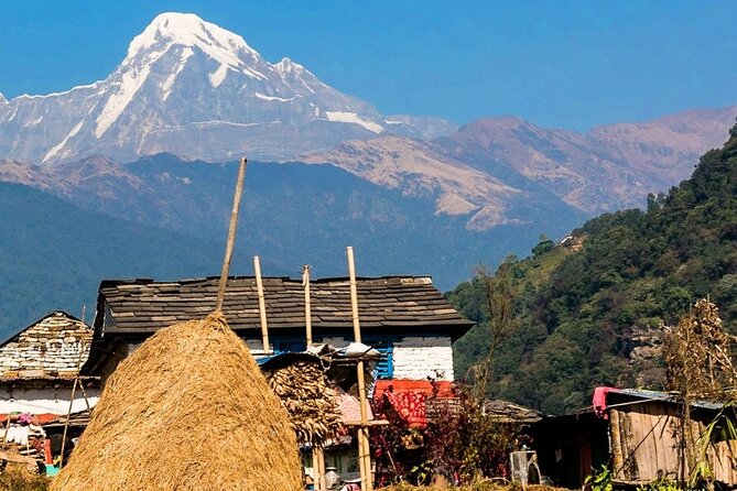 Luwang Village Home Stay Easy Trek With Tea Garden Visit - Booking Details