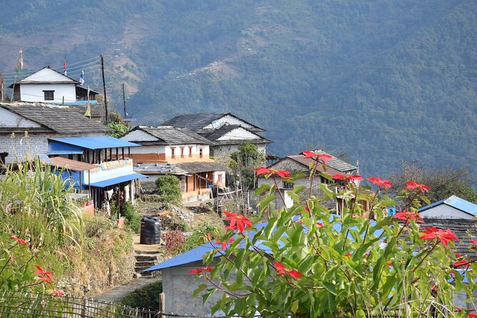 Luwang Village Home Stay Easy Trek With Tea Garden Visit - Trekking Route and Highlights