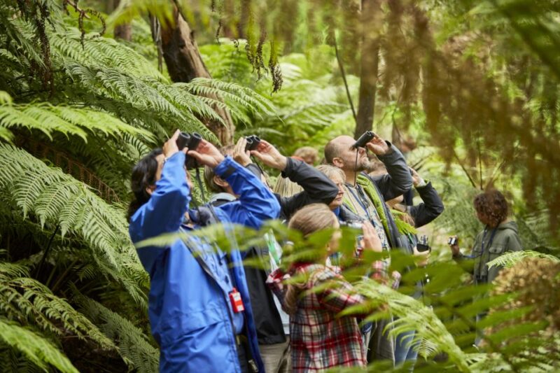 Luxe Bus Great Ocean Road Coastal Spectacular - Explore Iconic Landmarks