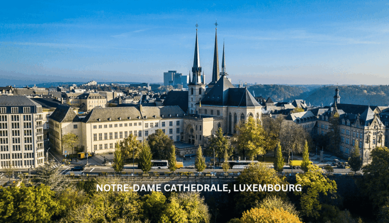 Luxembourg and 1000 Years Old City Secrets Walking Tour - Tour Inclusions