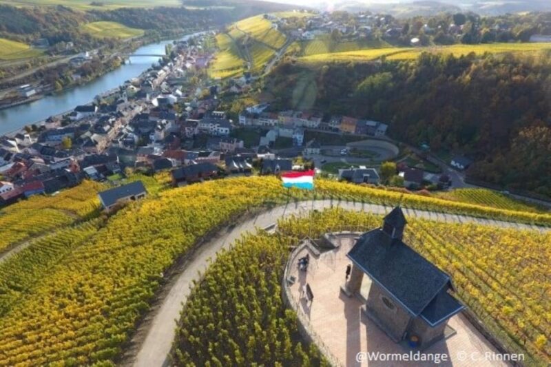 Luxembourg: Moselle Day Trip With Wine Tasting and Boat Tour - Detailed Itinerary