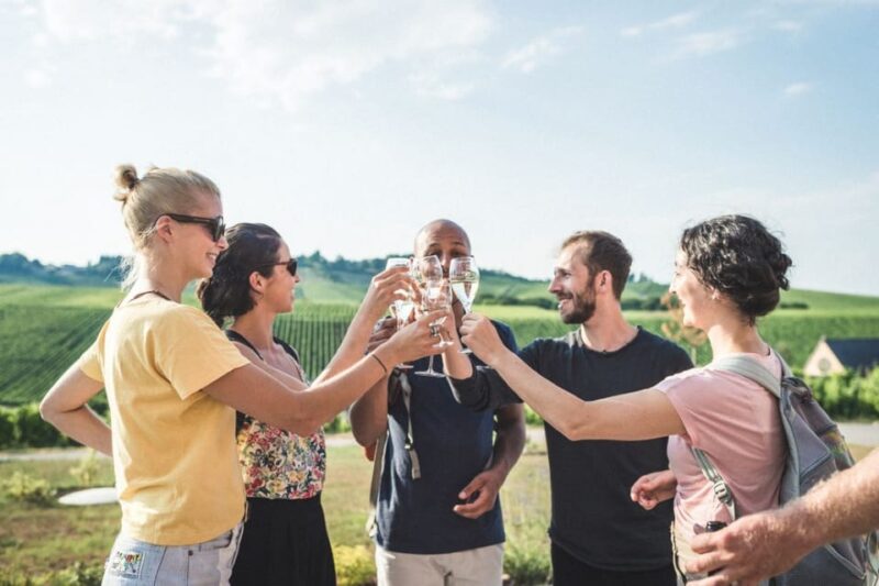Luxembourg: Moselle Day Trip With Wine Tasting and Boat Tour - Inclusions in the Package