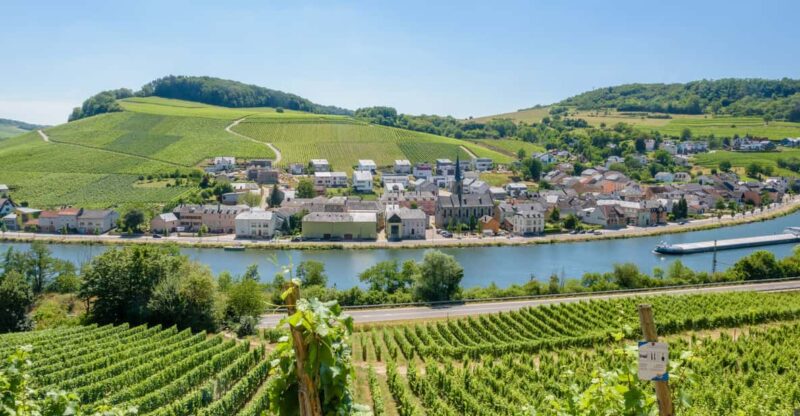 Luxembourg: Moselle Day Trip With Wine Tasting and Boat Tour - Customer Feedback and Ratings