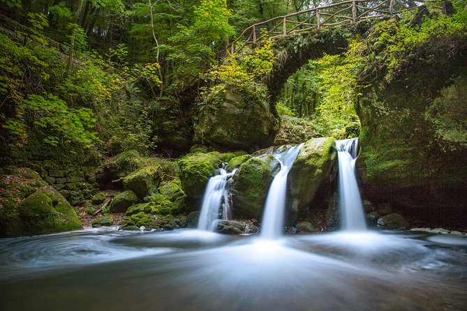 Luxembourg: Nature & Castle Day Trip - Itinerary and Activities