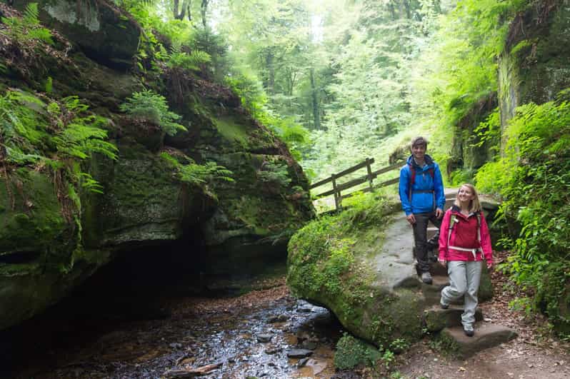 Luxembourg: Nature, History and Castles Full-Day Tour - Nature Highlights