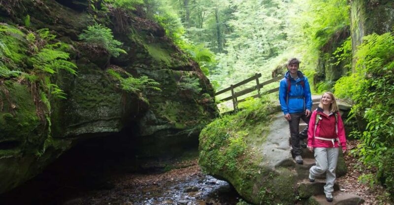 Luxembourg: Nature, History and Castles Full-Day Tour - Historical Landmarks