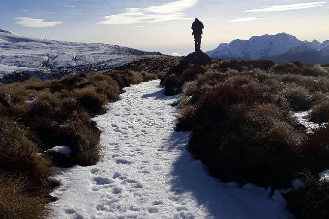 Luxmore Kepler Heli Hike (Minimum of 2 People) - Pickup and Meeting Details